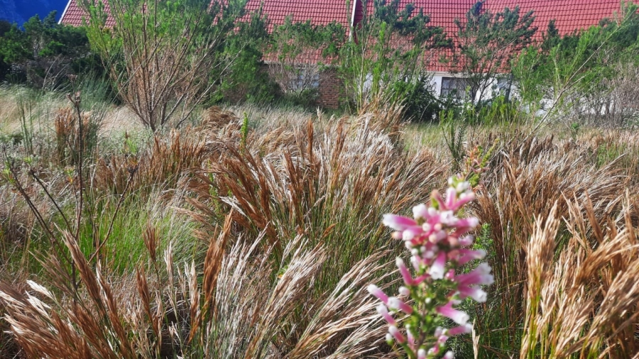 0 Bedroom Property for Sale in Bettys Bay Western Cape